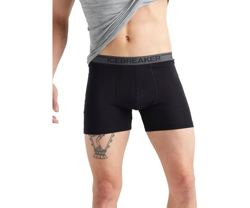 Bild 2 för Icebreaker M Anatomica Boxerss Black