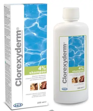 Produktfoto för ICF Clorexyderm Shampo 250 ml