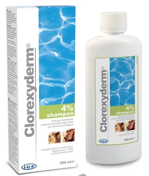 Alternativ bild 0 för ICF Clorexyderm Shampo 250 ml
