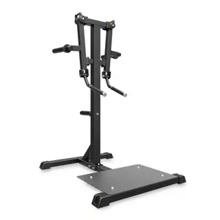 Produktfoto för Impulse Standing Lateral Raise Black