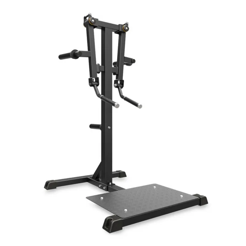 Bild 1 för Impulse Standing Lateral Raise Black