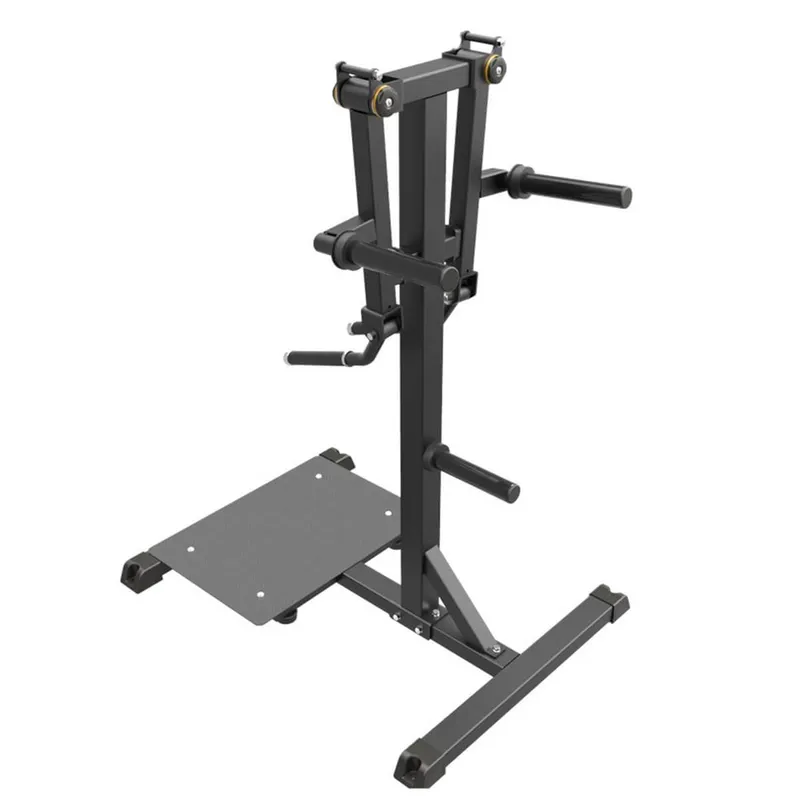 Bild 2 för Impulse Standing Lateral Raise Black