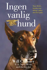 Alternativ bild 0 för Ingen vanlig hund