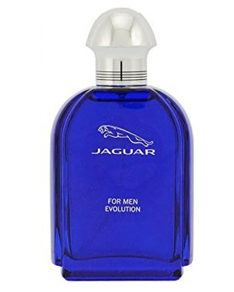 Bild 1 för Jaguar For Men Evolution edt 100ml