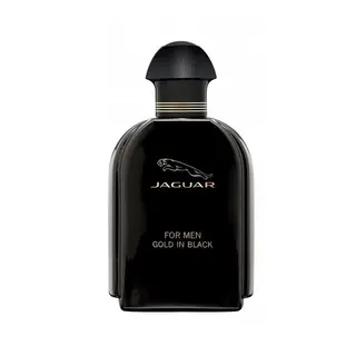 Produktfoto för Jaguar for Men Gold In Black edt 100ml