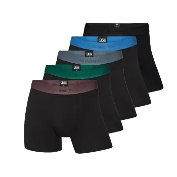 Alternativ bild 0 för JBS Kalsonger 5P Tights Bamboo Boxers Flerfärgad-2 Medium Herr