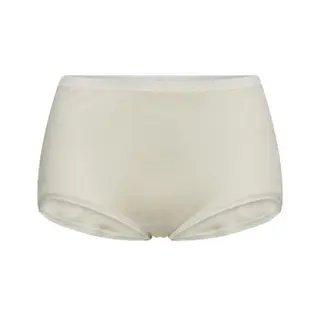 Produktfoto för JBS of Denmark Trosor Wool Maxi Briefs Benvit ull Small Dam