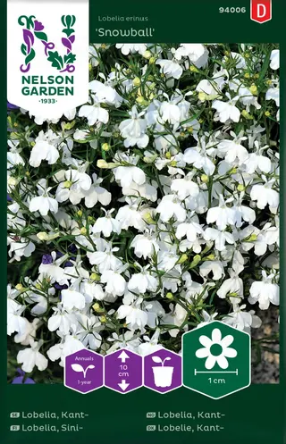 Produktfoto för Kantlobelia 'Snowball'
