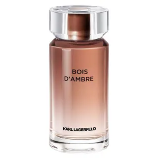 Produktfoto för Karl Lagerfeld   Karl Lagerfeld Bois d'Ambre Eau de Toilette 100 ml