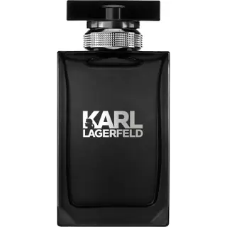 Produktfoto för Karl Lagerfeld   Pour Homme Eau de Toilette 100 ml