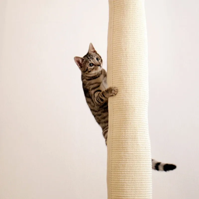 Bild 2 för Kerbl Klättersäck för Katter 260 cm