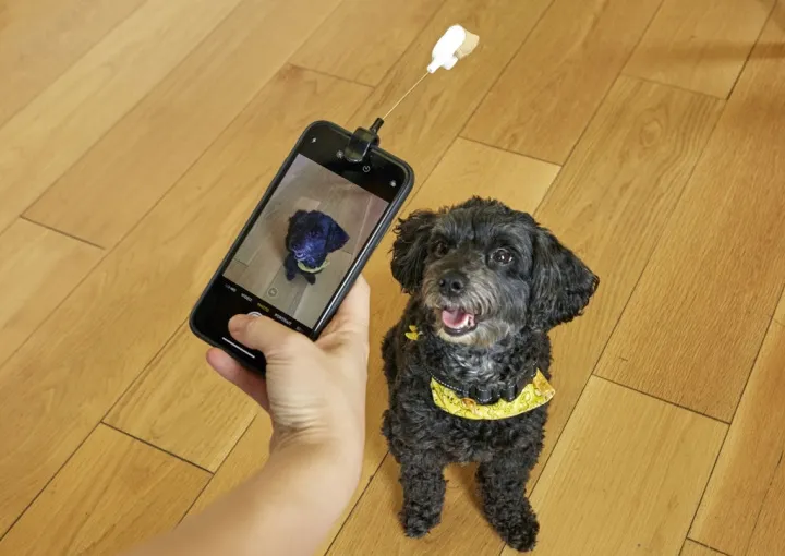 Alternativ bild 0 för Kikkerland - Dog Treat Selfie Clip (DIG01)