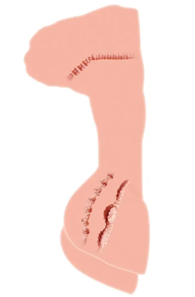 Bild 2 för Kokos Hera 1 Masturbator