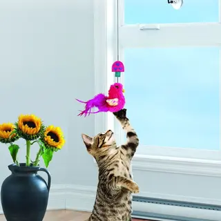 Produktfoto för KONG Cat Connects Kattvippa till Fönster
