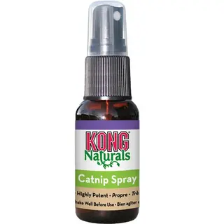 Produktfoto för KONG Naturals Kattmynta Spray