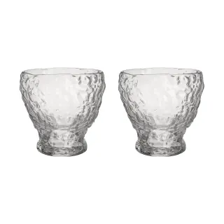 Produktfoto för Kosta Boda Moss tumbler glas 33 cl 2-pack Klar
