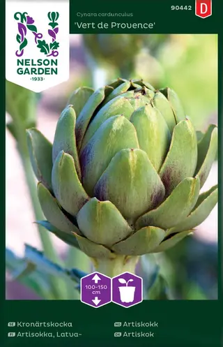 Produktfoto för Kronärtskocka 'Vert de Provence'