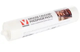 Produktfoto för Kruuse Pasta Calcium/Fosfor 4-pack