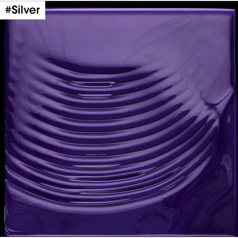Bild 2 för L'Oréal Professionnel Silver Serie Expert Professional Shampoo 500 ml
