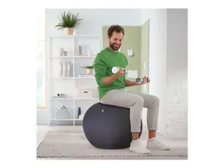 Produktfoto för Leitz Ergo Active - Bollstol - ergonomisk - fabric cover - mörkgrå
