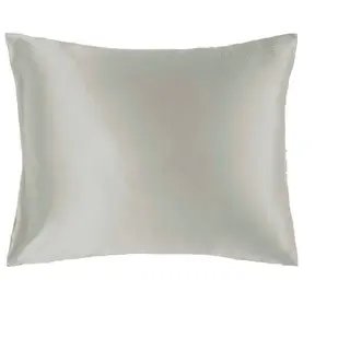 Produktfoto för Lenoites Mulberry Silk Pillowcase 50x60 cm Grey