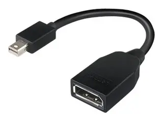Produktfoto för Lenovo DisplayPort adapter