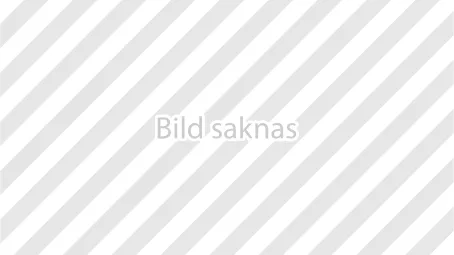 Alternativ bild 0 för LG 48" - OLED48G66LS