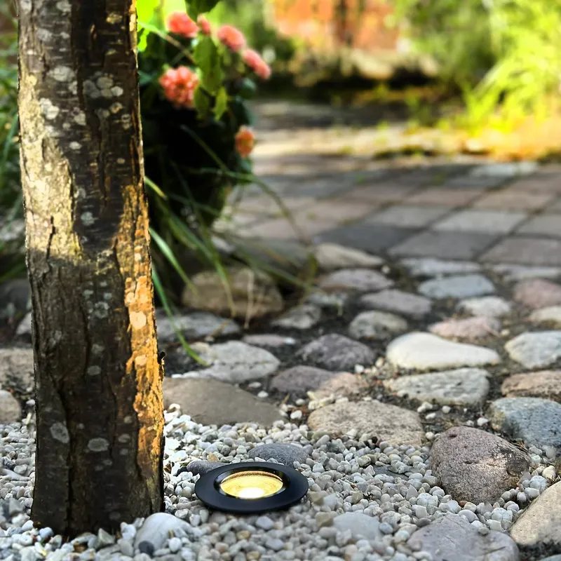Bild 2 för LightsOn Onyx