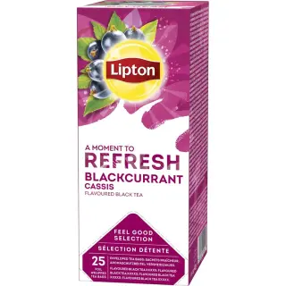 Produktfoto för Lipton Te påse Blackcurrant