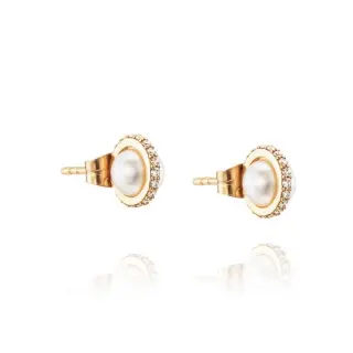 Produktfoto för Little Day Pearl & Stars Örhänge Guld