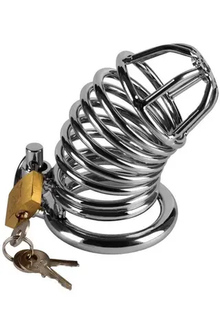 Produktfoto för LoveToy: Jailed Metal Chastity Cage