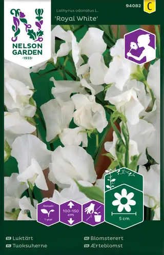 Produktfoto för Luktärt 'Royal White'