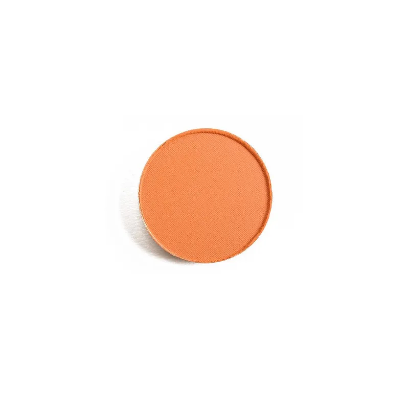 Alternativ bild 0 för MAC Cosmetics Matte Eye Shadow Pro Palette Refill Rule