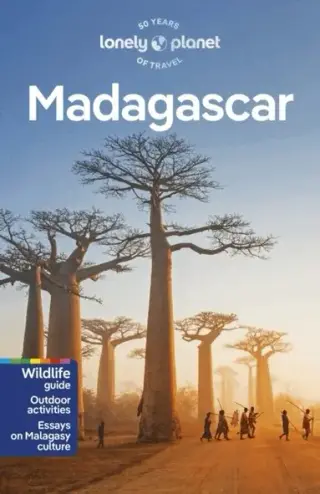 Produktfoto för Madagascar Lonely Planet