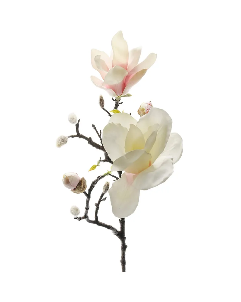 Bild 2 för Magnolia snittblomma vit/rosa