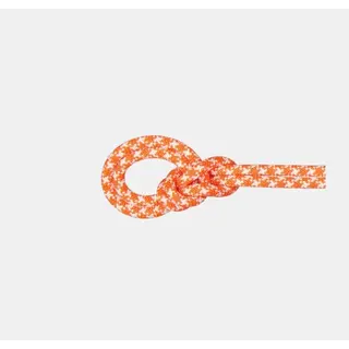 Produktfoto för Mammut 9.5 Crag Classic Rope 70m