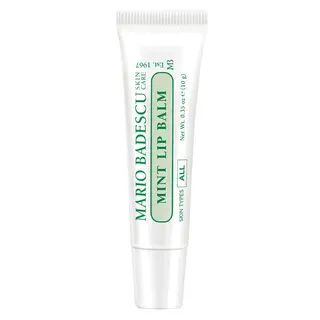 Produktfoto för Mario Badescu Mint Lip Balm 10 g
