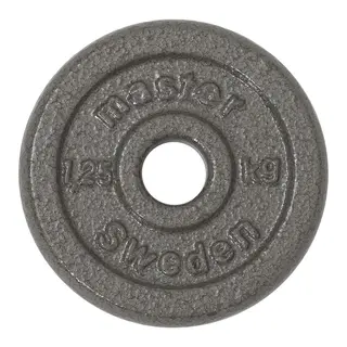 Produktfoto för Master Fitness Skolvikt 25 mm, Viktskivor järn