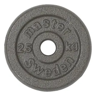 Produktfoto för Master Fitness Skolvikt 25 mm, Viktskivor järn