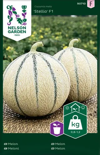 Produktfoto för Melon 'Stellio' F1