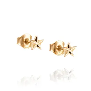 Produktfoto för Micro catch a falling star stud Örhängen Guld