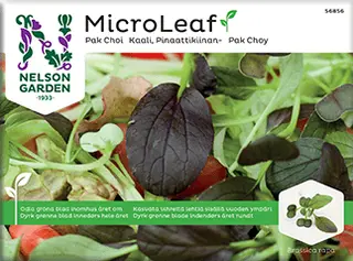 Produktfoto för Micro leaf, Pak Choi 'Red Wizard'