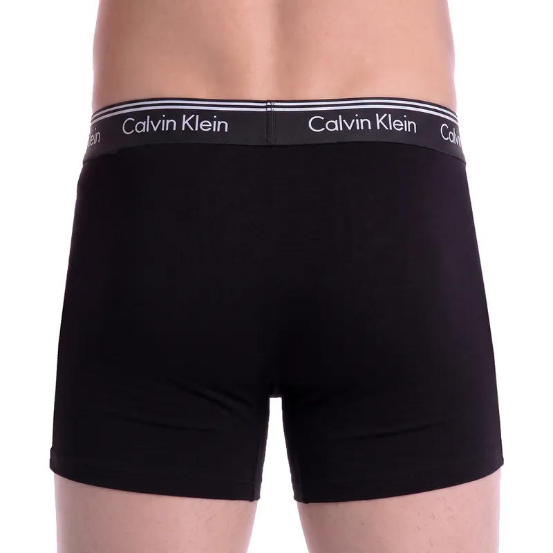 Bild 5 för Microfibre Boxer Brief 3P