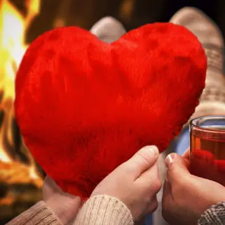 Produktfoto för Mikamax Warming Heart Pillow Deluxe