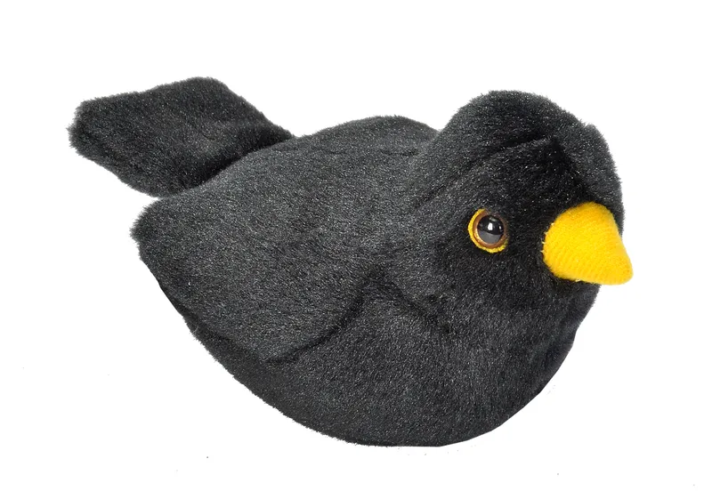 Alternativ bild 0 för Mjuka fåglar med autentiska ljud