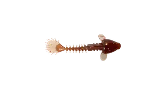 Produktfoto för Monkey Fry 7cm, 2,5 gr, 16-pack