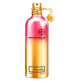 Produktfoto för Montale Aoud Jasmine edp 100ml