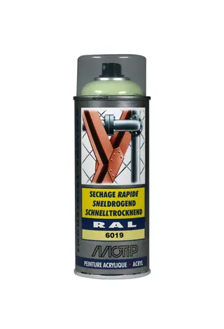 Produktfoto för Motip Industri Ral 6019 högglans 400ml