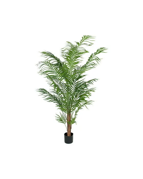 Bild 1 för Mr Plant, Areca Palm 180 cm