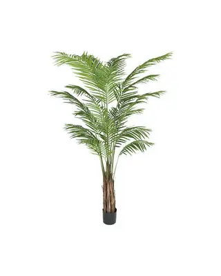 Produktfoto för Mr Plant, Areca Palm 210 cm